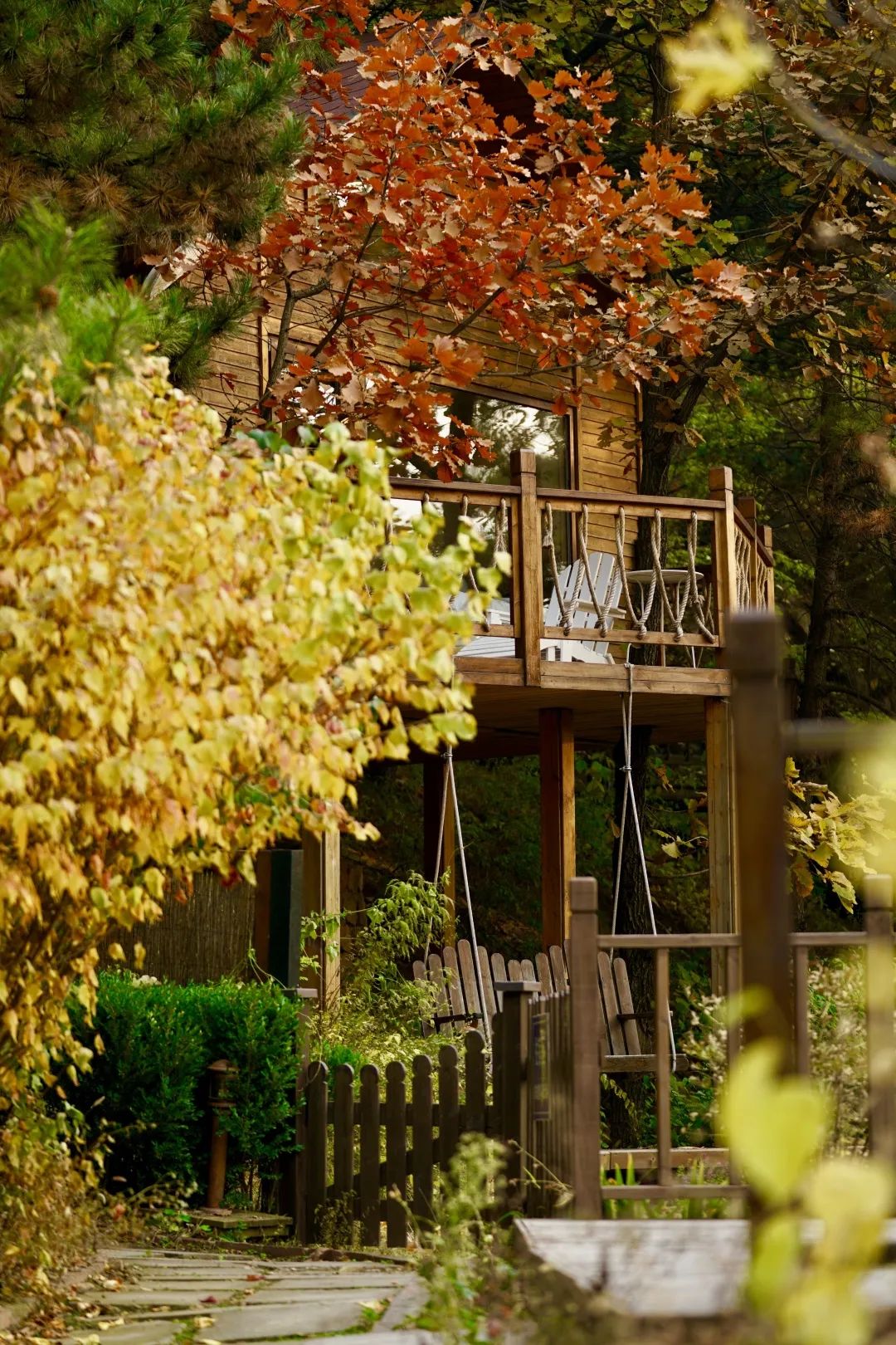 北京市密云区云峰山森林康养基地,北京密云康养基地