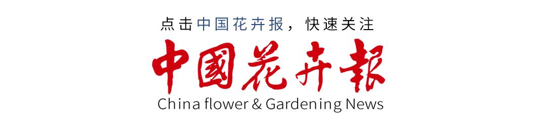 10年后的苗木行情,十年后苗木销路