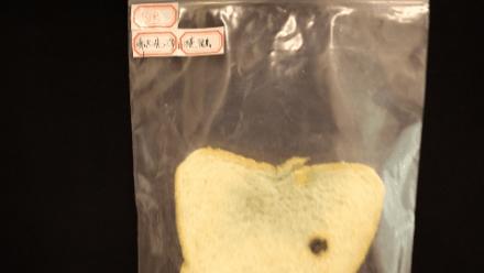 面包发霉了宝宝吃了,面包发霉了科学小实验