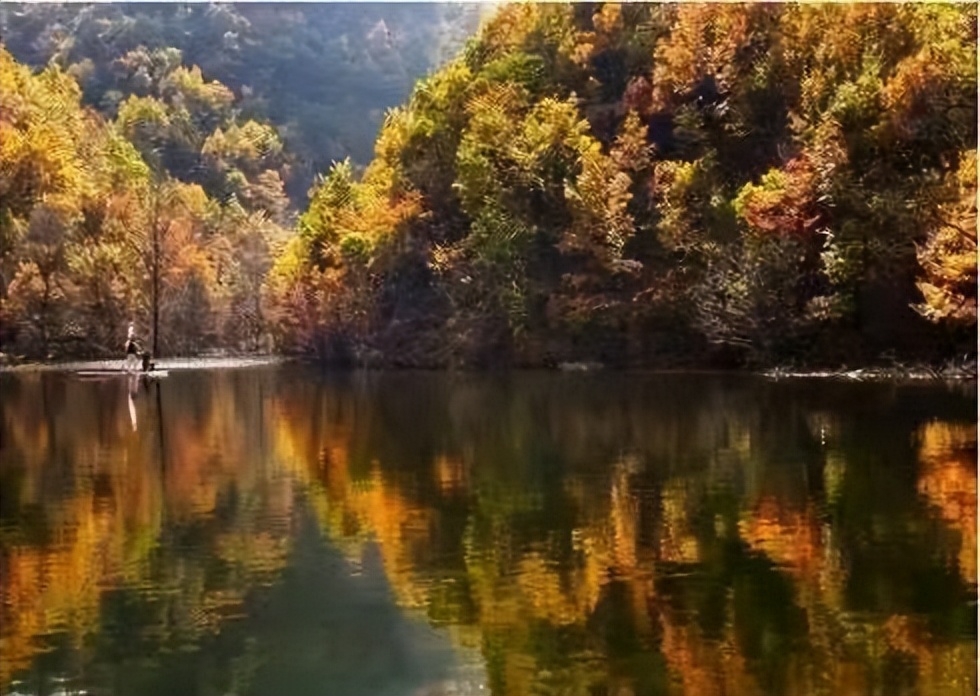 秋思最好听的十首诗,最美秋思的诗句