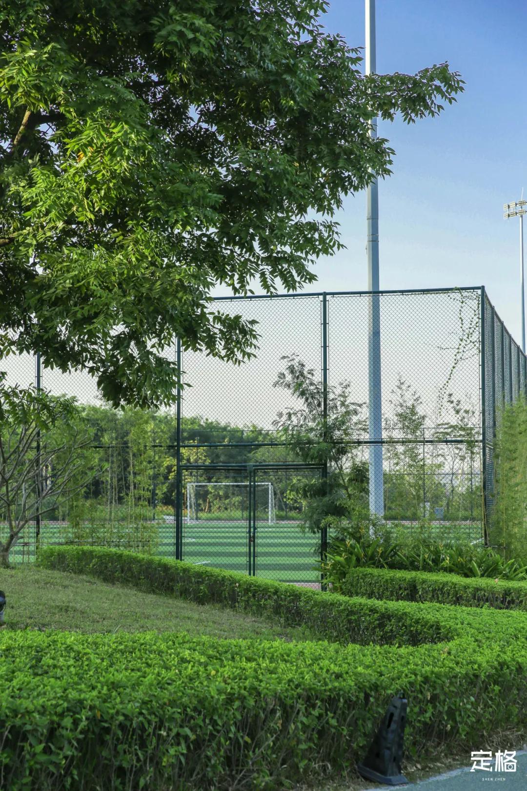 深圳免费好玩的滑梯推荐,深圳摩天滑梯