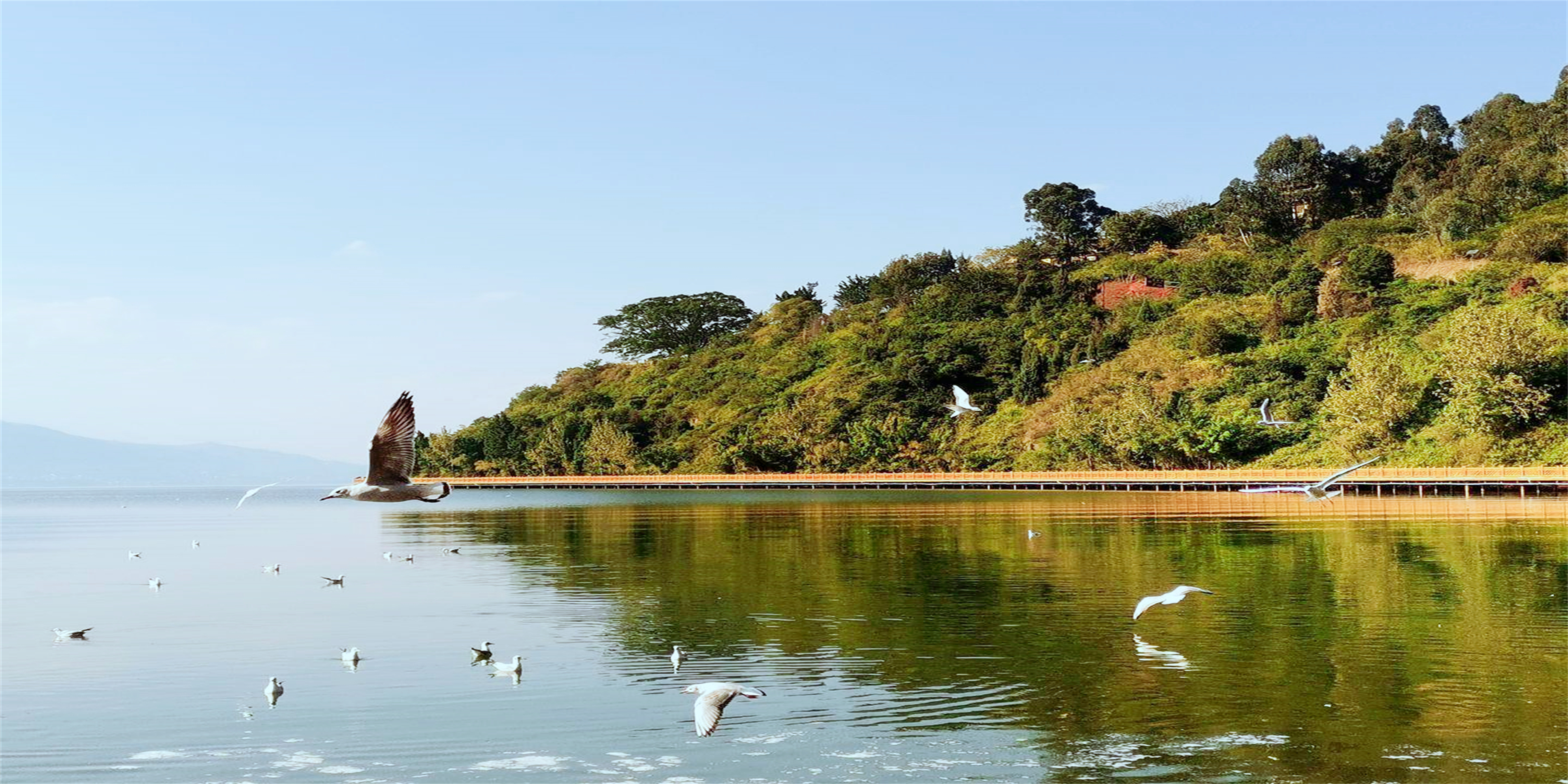 王仕彬,王仕彬百科