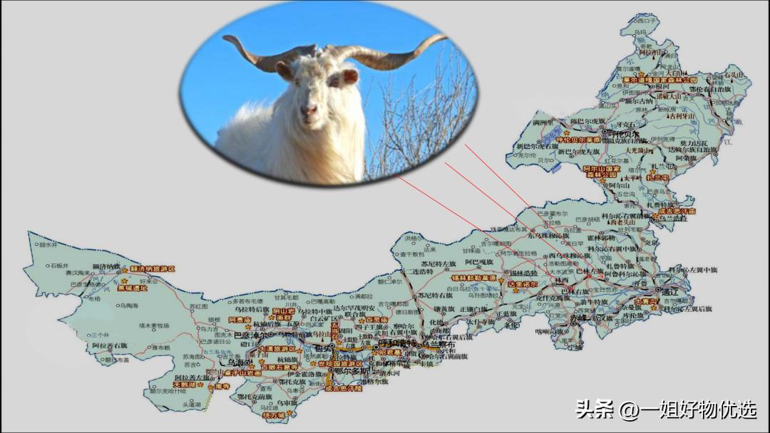 大围巾披肩羊绒,大围巾披肩羊绒纯色