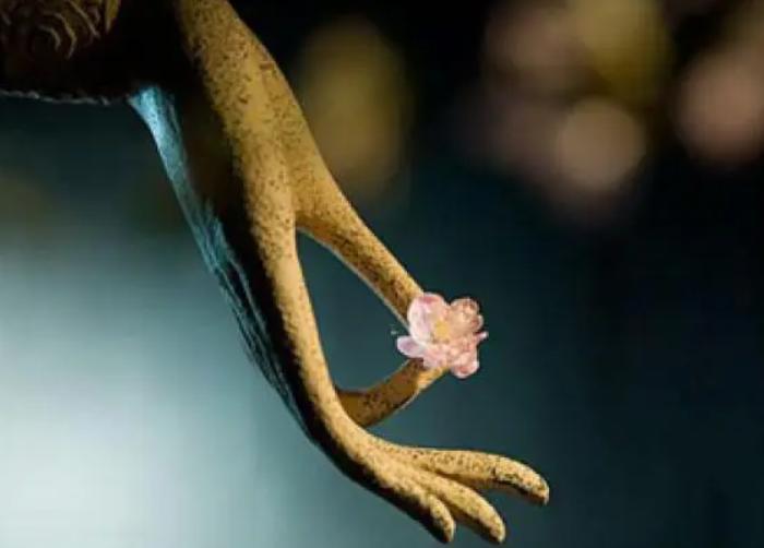 讲临终关怀的书,藏地生死书阅读