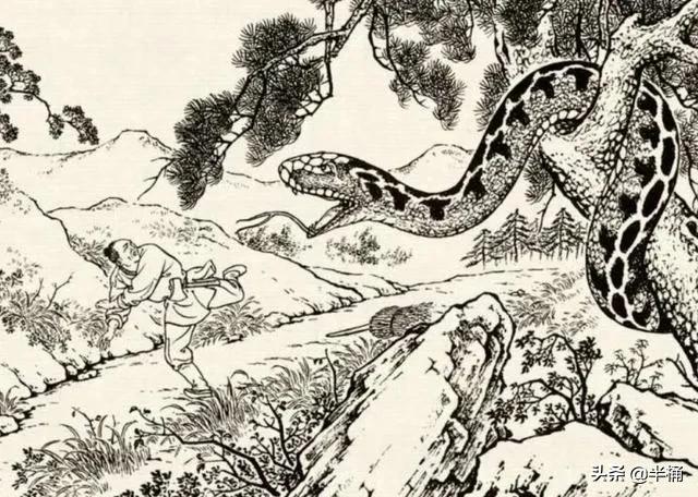 打蛇没打死会报复吗,经常打蛇会被蛇报复吗