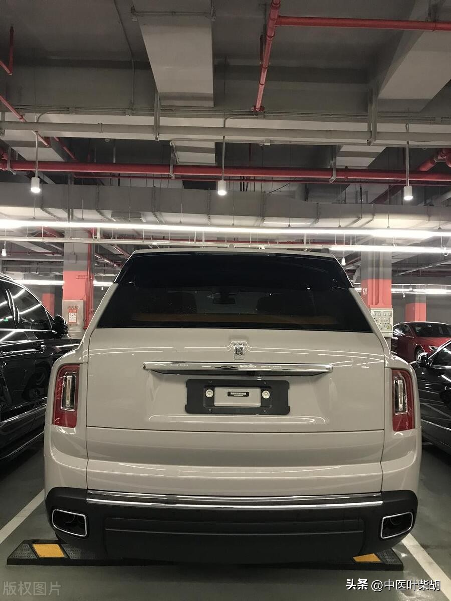 一辆库里南成本是多少,一辆库里南一年的费用