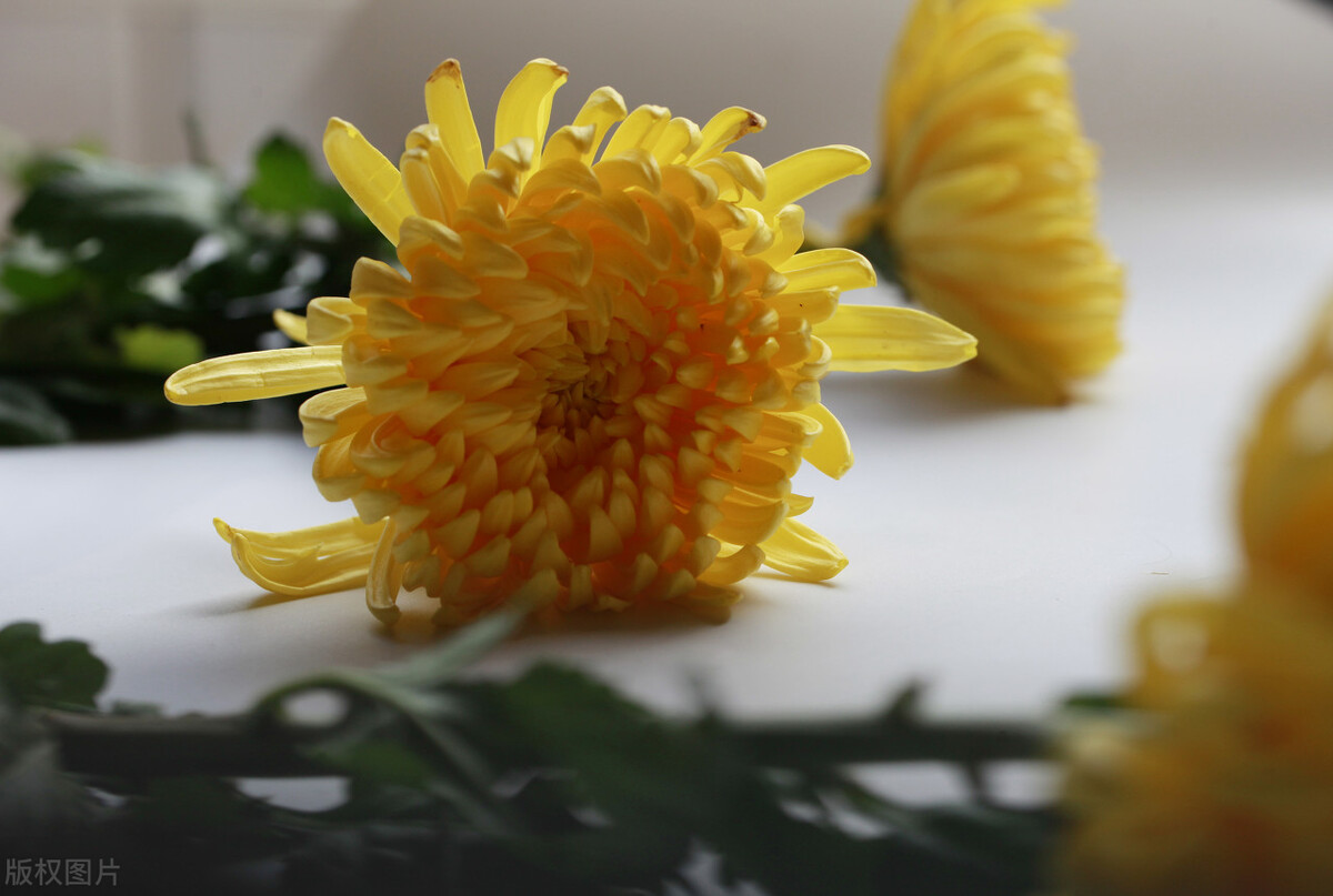 山西暂停祭扫,山西省清明节祭扫规定