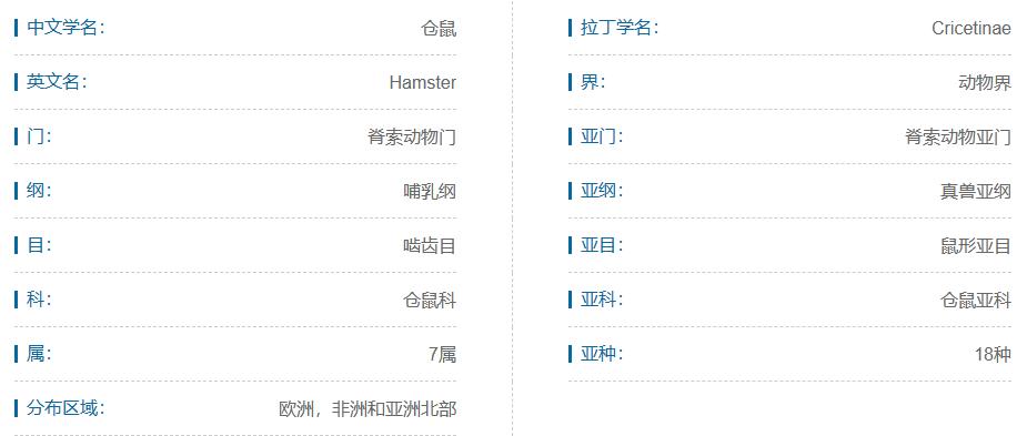 素食宠物食品,素食宠物零食有哪些品种