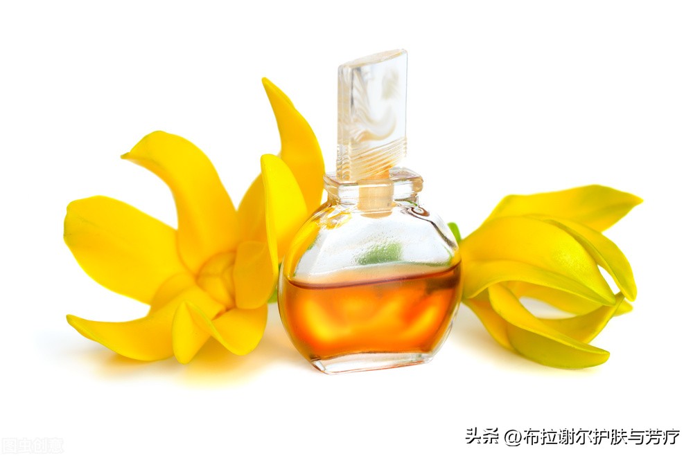依兰精油香氛,依兰芳香精油