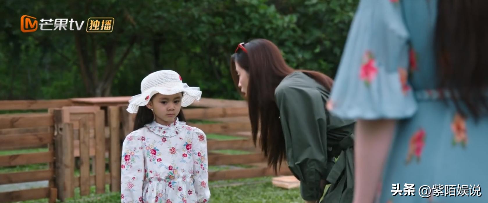 刘亦菲去有风的地方演技吐槽,去有风的地方刘亦菲和其他人同框