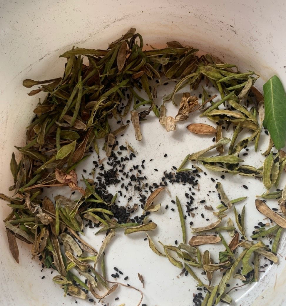 养花播种,养花小知识室内盆栽种植小技巧