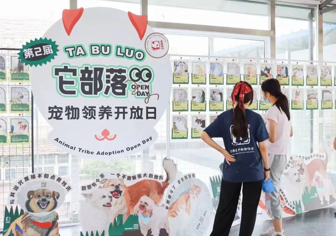 各单位注意！6.9-6.11「萌力全开！宠物文化市集」各摊主已就位！快来Pick你最中意的他