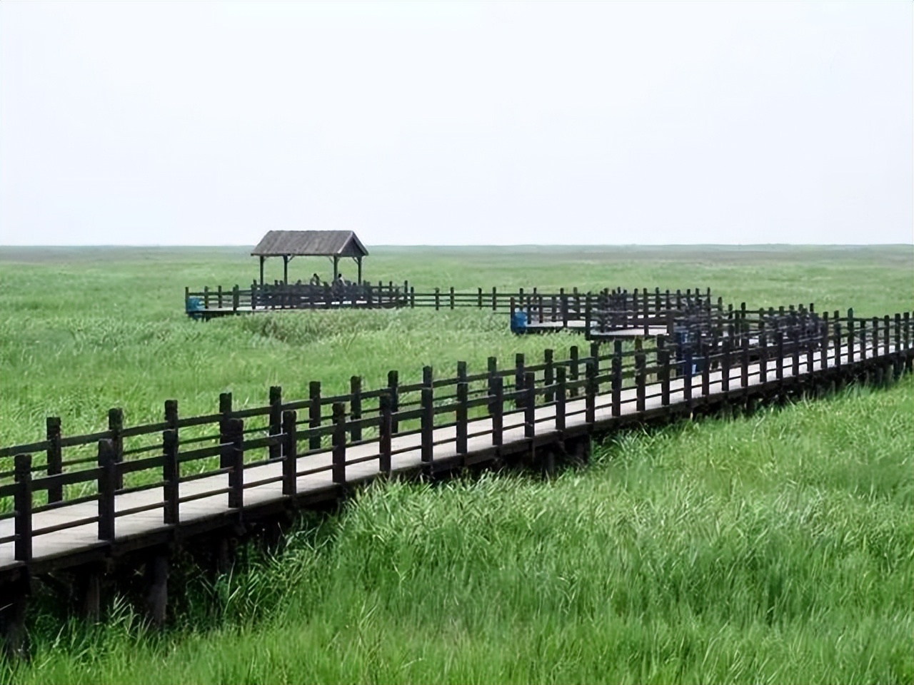 中国最具影响力的50位富豪榜,上百亿财富的富豪排行榜名单