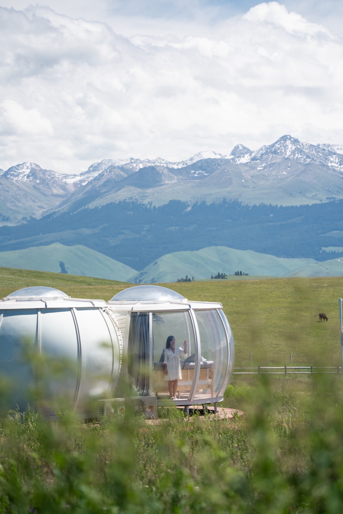 新疆伊犁之美,走了一圈才发现世界万物远不及你