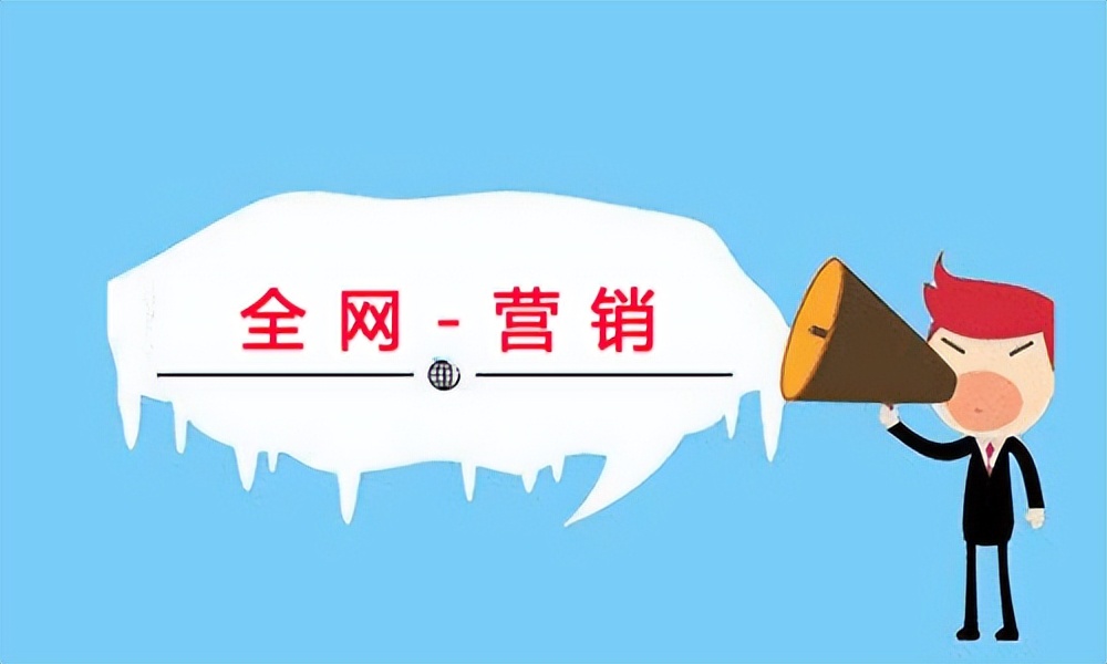 借助全网推广，拓展品牌影响力，提高市场占有率