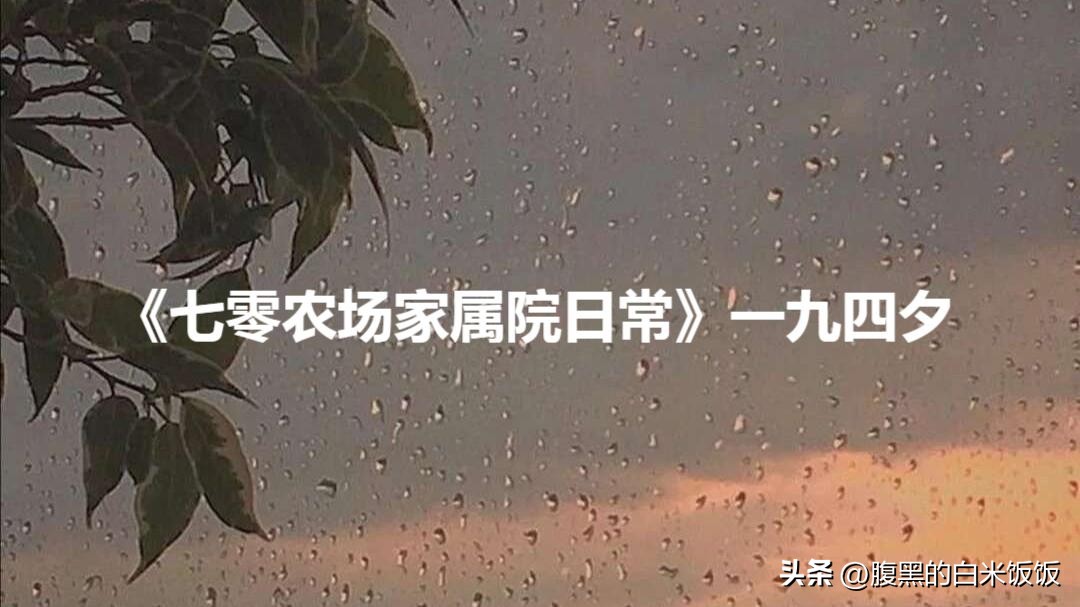 娇软美人年代文大院日常,娇软美人年代文大院日常免费阅读