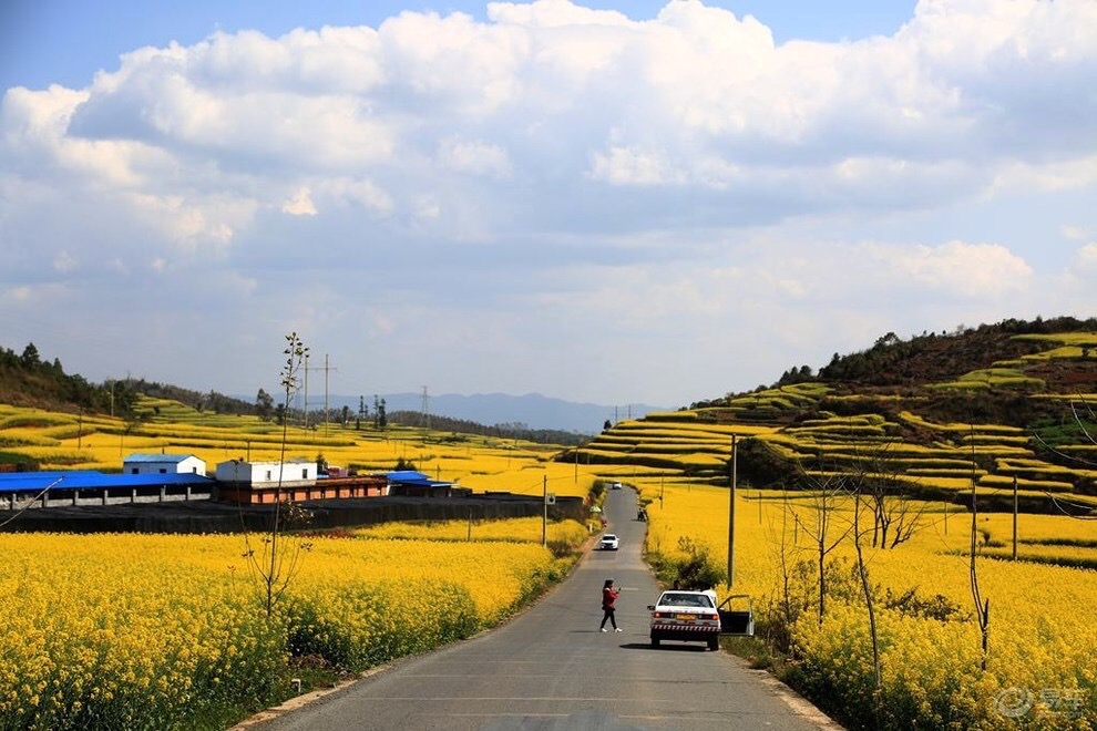 2022年春节云南免费景区,云南春节最合适的景点是哪些