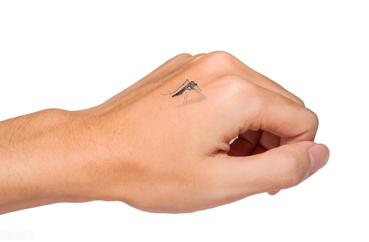 住33层高层顶楼真实感受,住30层高层顶楼真实感受视频