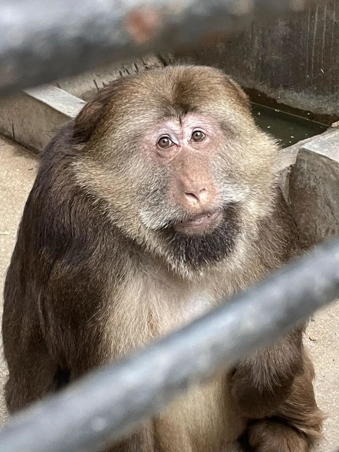 韶关巨型稻草人王国,数百个大型稻草人乐园