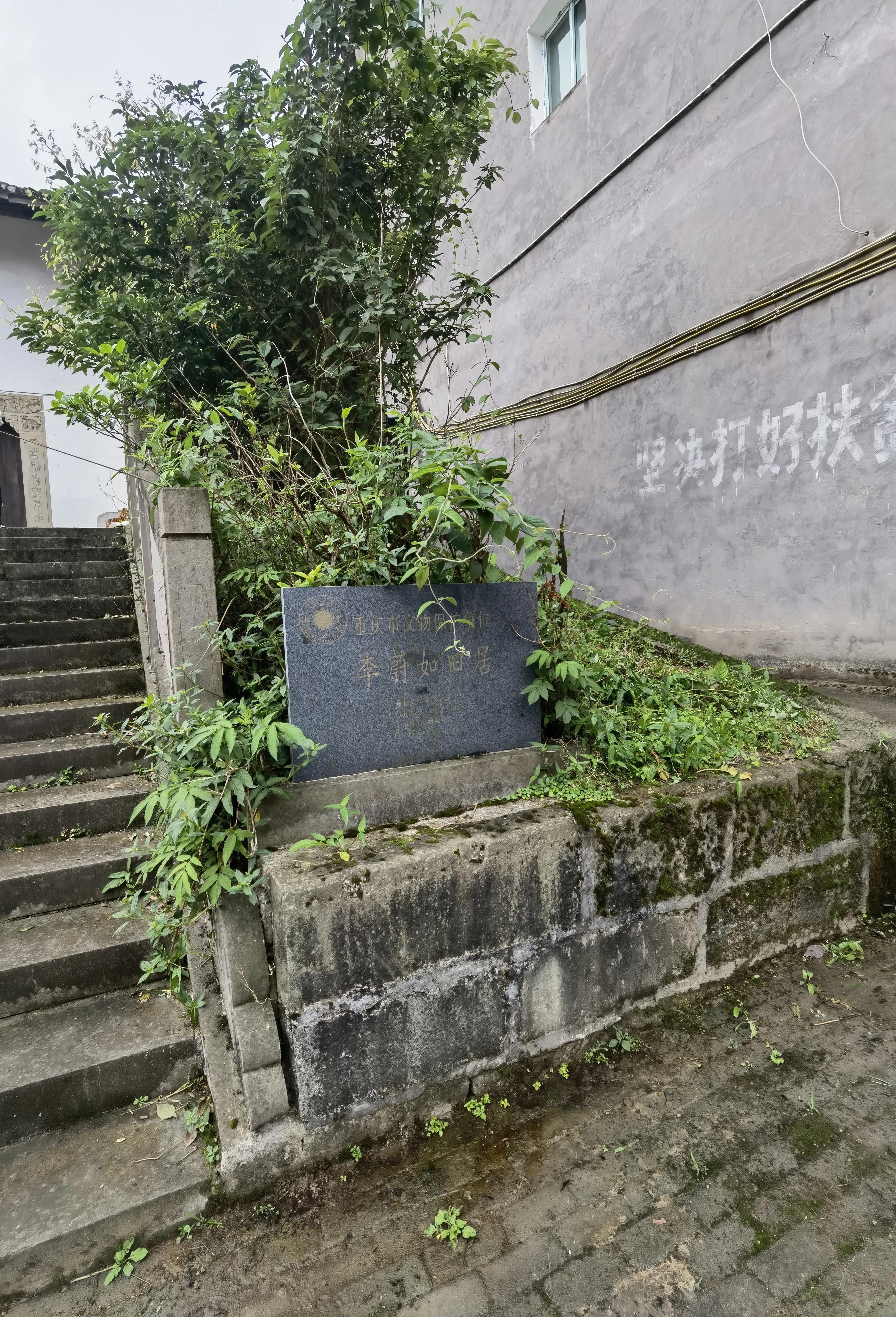 大顺李蔚如,航拍涪陵区大顺镇