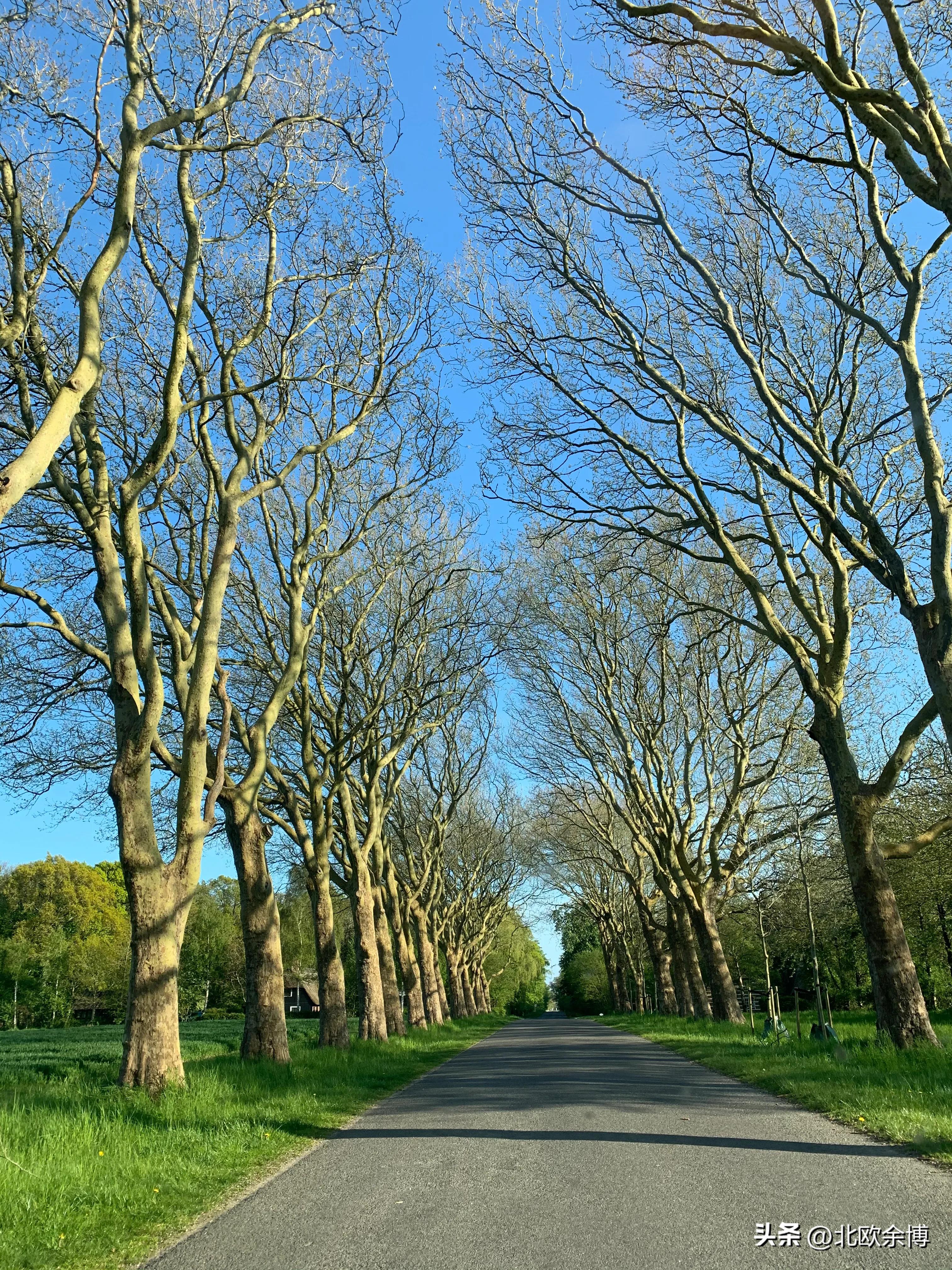 国外老婆可以上户口吗,国外有户口制度吗