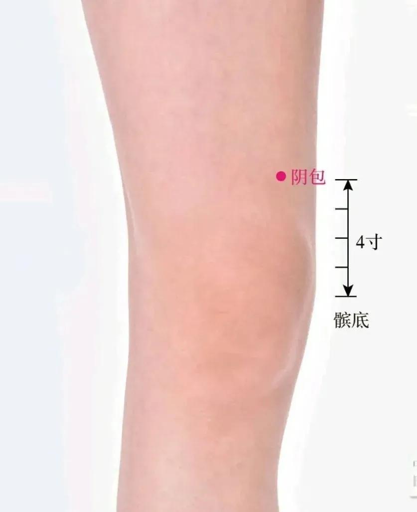 惊蛰节气预示什么,惊蛰让阳气生发更顺畅