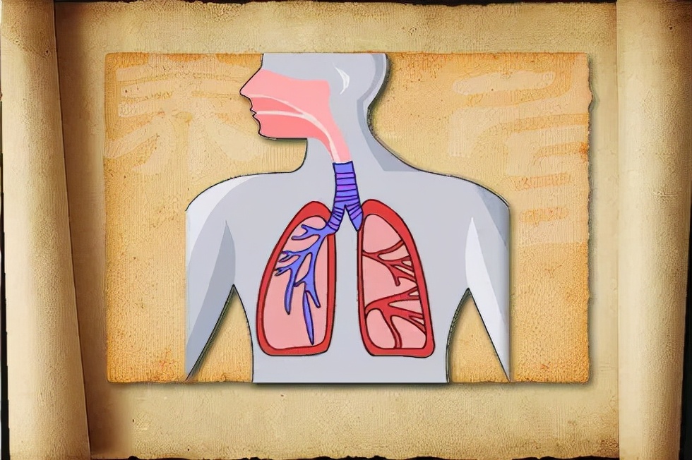 肝气郁结痰湿甲状腺结节怎么治疗,爱长结节的体质喝中药可以调理吗