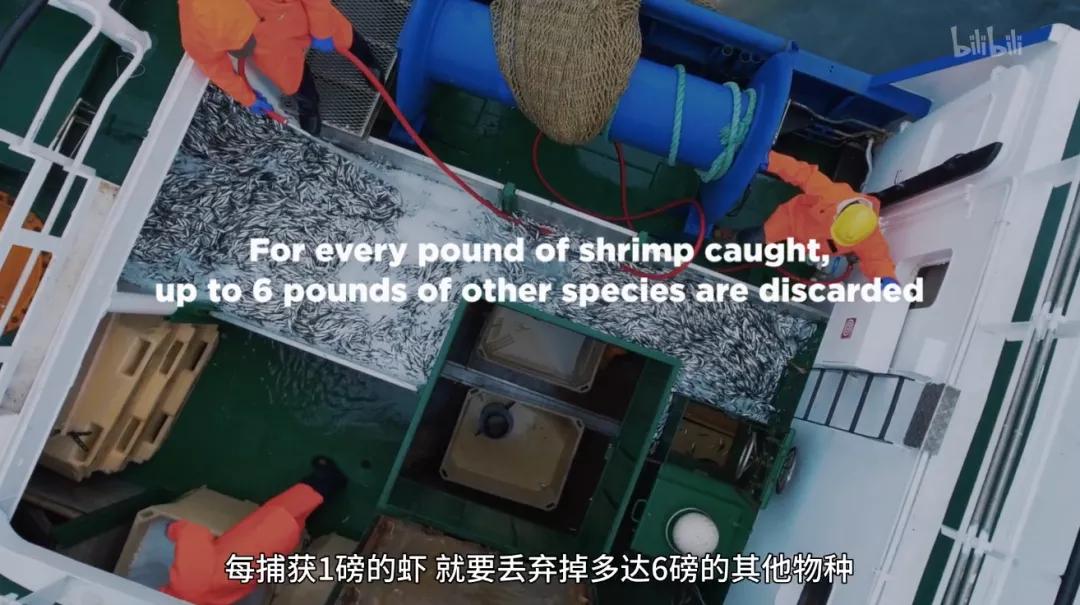 满分推荐！这部颠覆三观的良心之作，绝不该只有300人看过