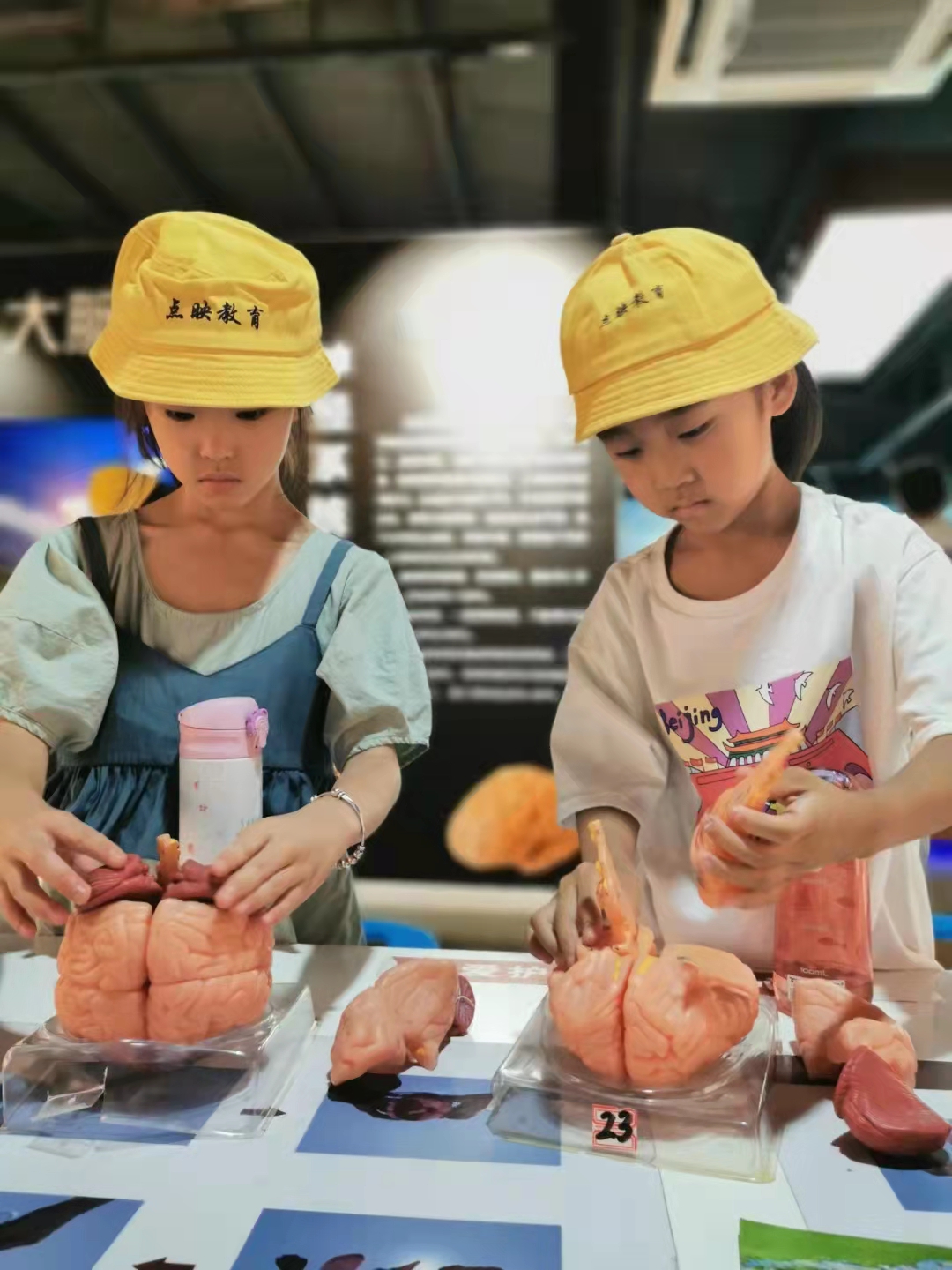 郑州人体科学馆要门票吗,郑州适合带孩子玩的博物馆科技馆