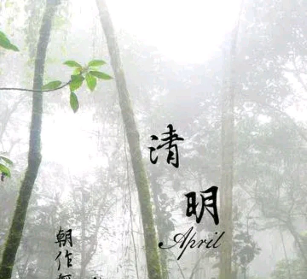 如何理解老话女婿莫上坟,女婿上坟辱先人是哪里的风俗