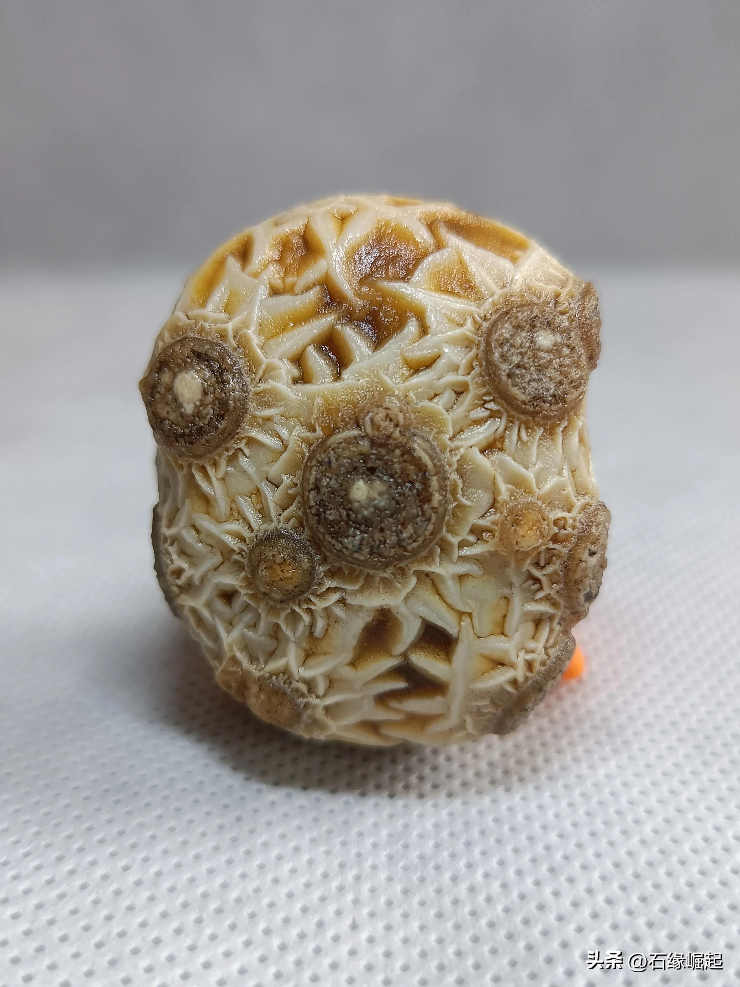 奇石价格一般是多少,奇石拍卖骗局