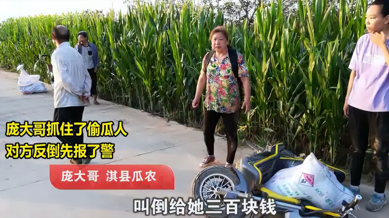 瓜农抓了偷瓜贼一人罚2个西瓜,瓜农抓到偷瓜贼却要倒赔300元