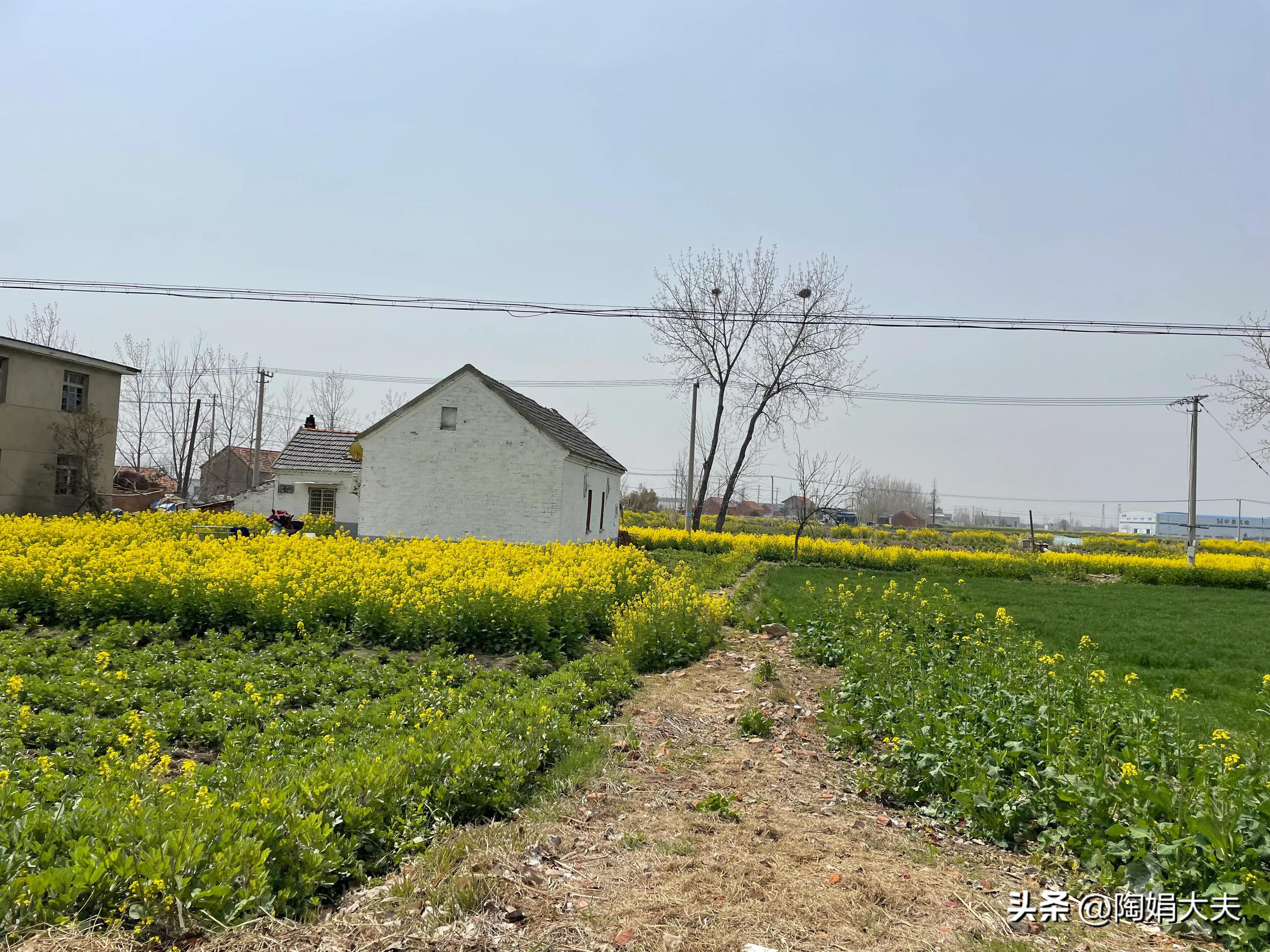 绝经后再来大姨妈正常吗,绝经大姨妈又来了咋办