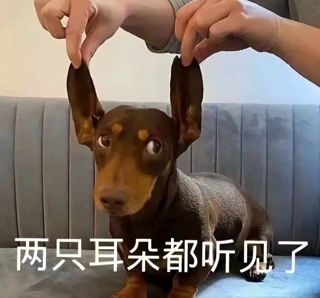 女友穿吊带裙男朋友的反应,女友买了新裙子