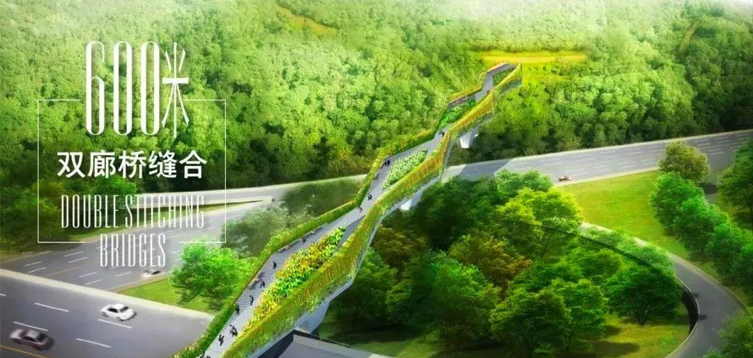 深业上城公寓,深业上城到笔架山的桥