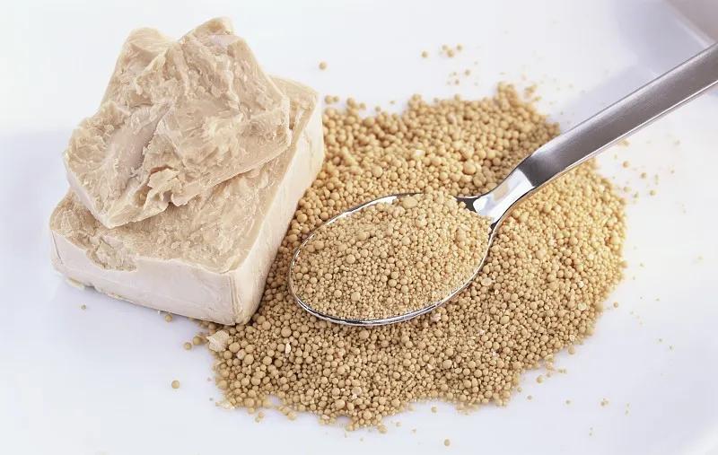 「鱼食制作」金鱼饲料怎么制作金鱼饲料制作方法