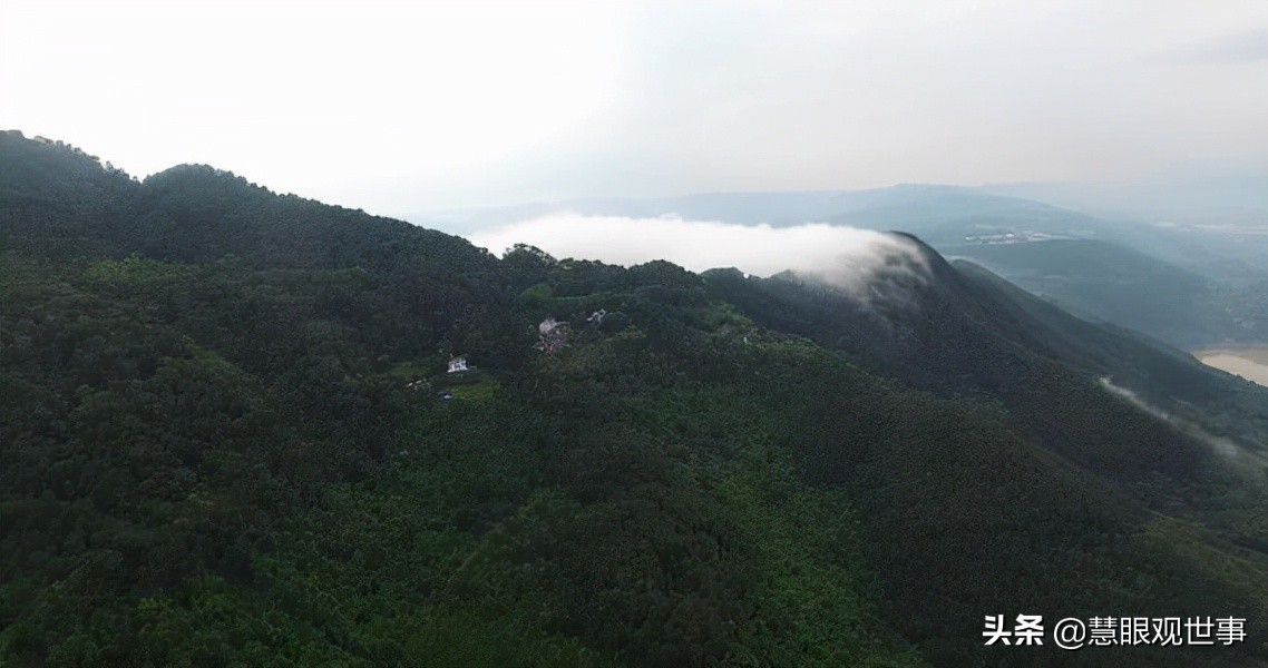 侯海洋基层风云全文免费阅读,侯海洋基层风云完整版免费听