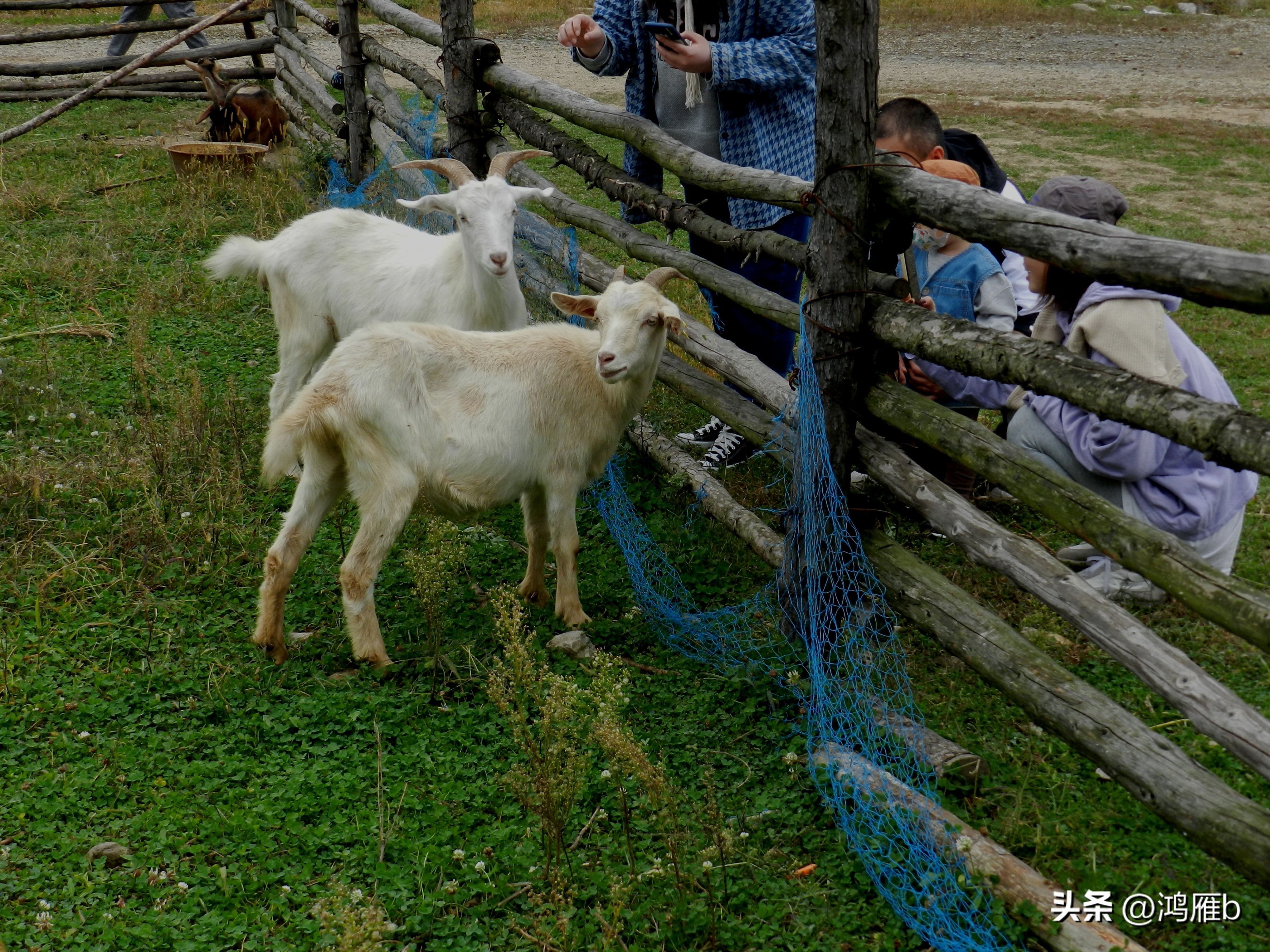 本溪温泉汤沟门票价格,本溪花溪沐枫雪温泉小镇