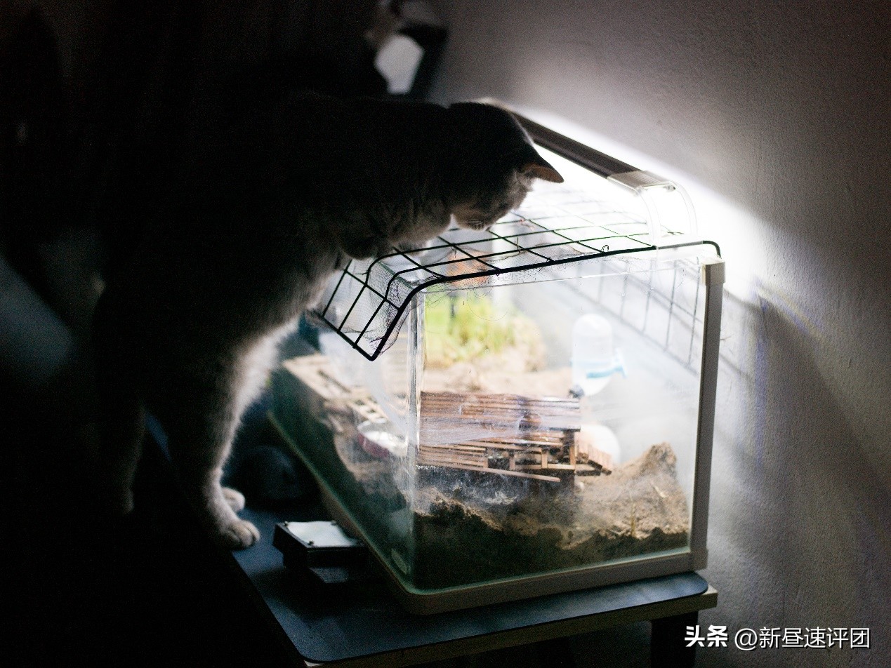 鍝堣嫃涓敾骞卙4d闀滃ご,鍝堣嫃鐩告満h4d-200ms