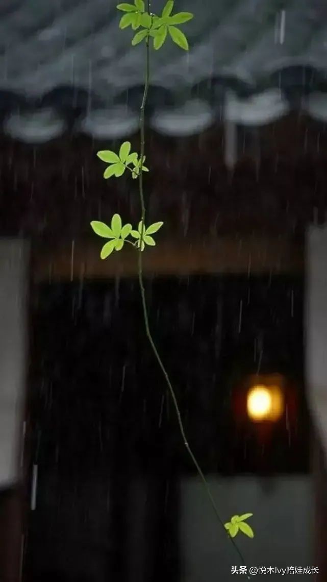 辛弃疾西江月稻花香里说丰年赏析,辛弃疾的西江月稻花香里说丰年