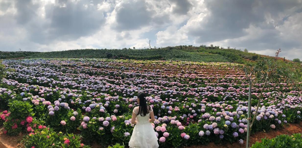 阳宗高铁站什么时候投入使用,阳宗为什么要修高铁站