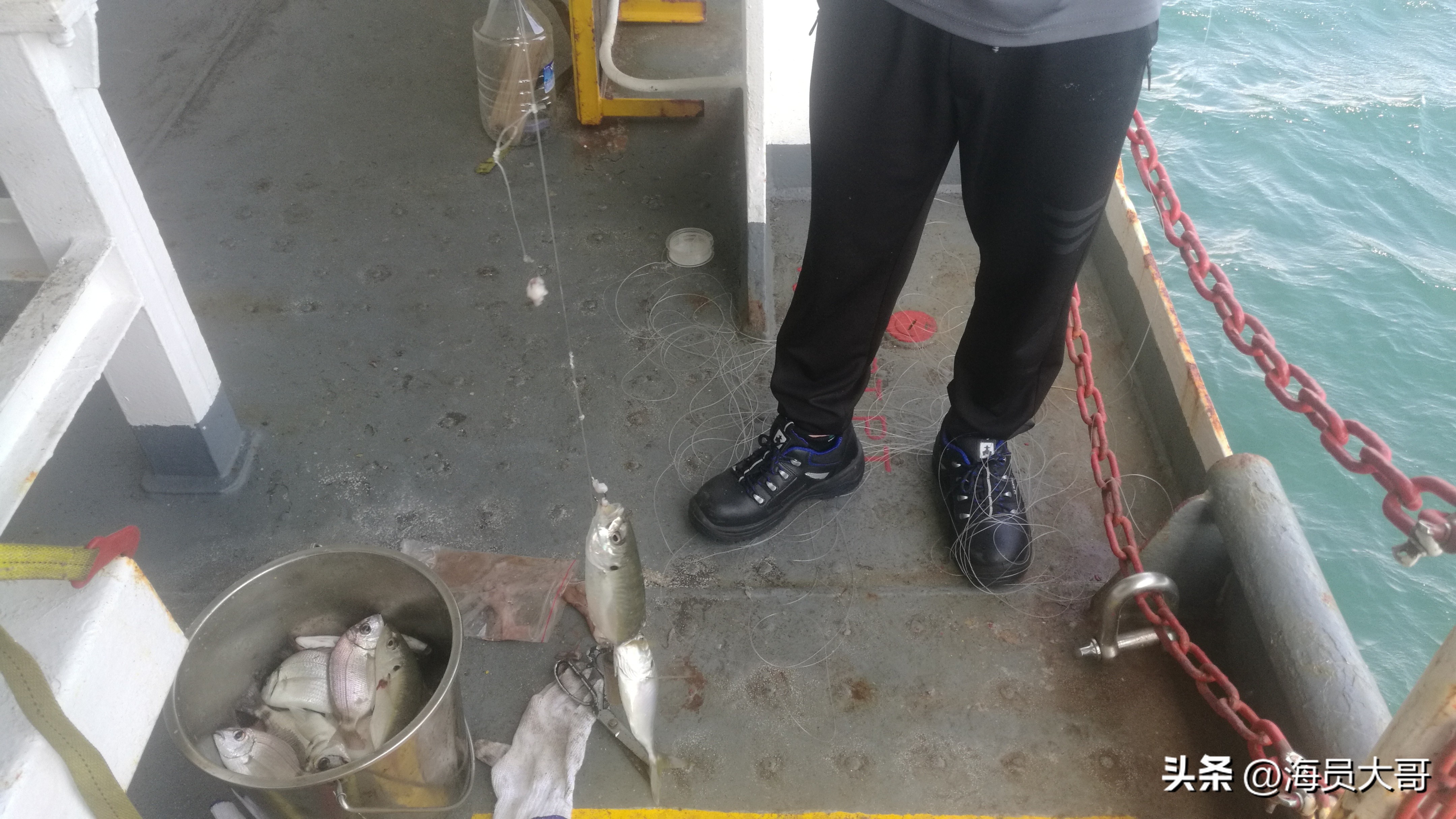 满载2亿斤巴西大豆还能回国吗,两亿斤大豆运回国货轮运输费