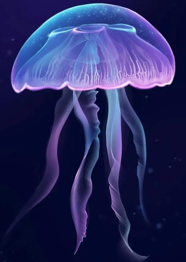 北京自然博物馆旅游攻略,北京国家自然博物馆游玩攻略