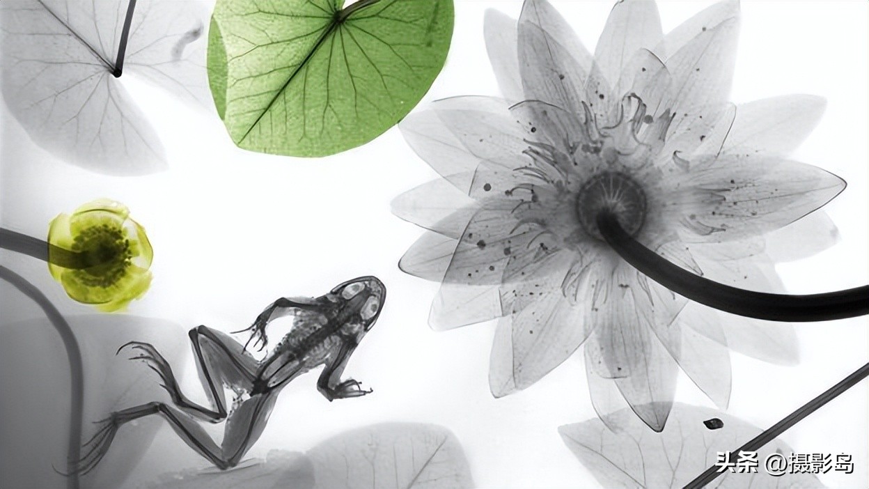 x射线数字成像检测专家,x射线专家