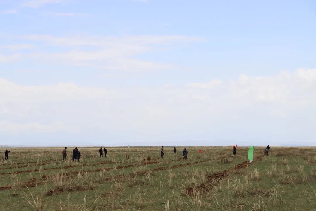 推动各项任务落地见效,推进五大行动