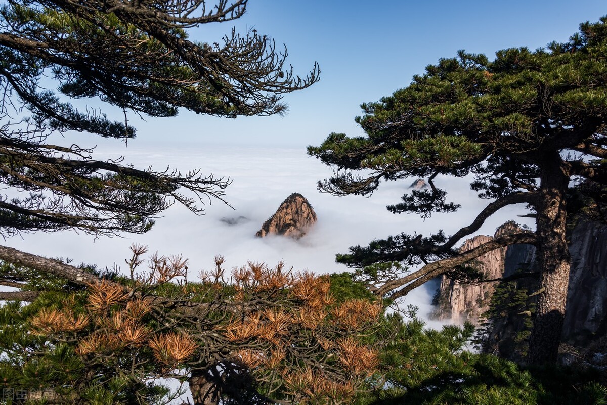 小学生必背百科知识300条,小学生应掌握的百科知识视频