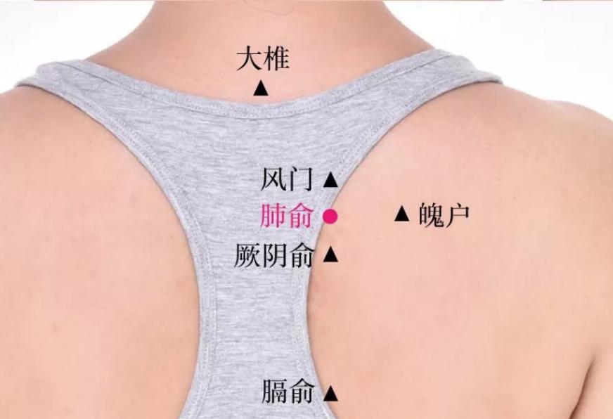 寒潮来袭容易感冒,分享感冒艾灸灸法,真乃大道至简