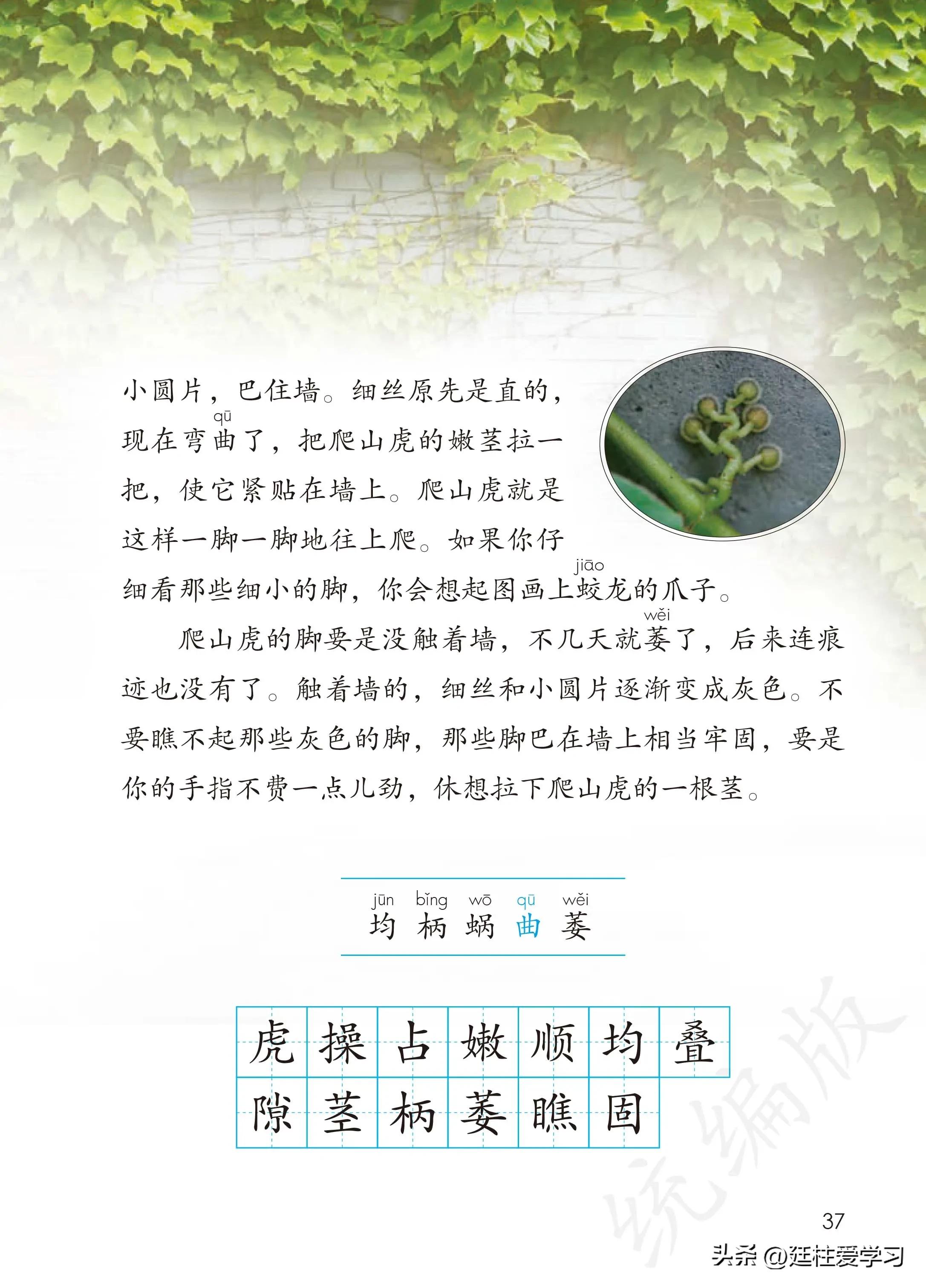 小学语文四年级上册27课,部编版小学语文四年级下册电子版