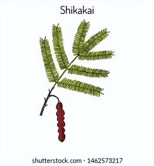 或许有种印度“神油”，可以解决你的“头”等烦恼