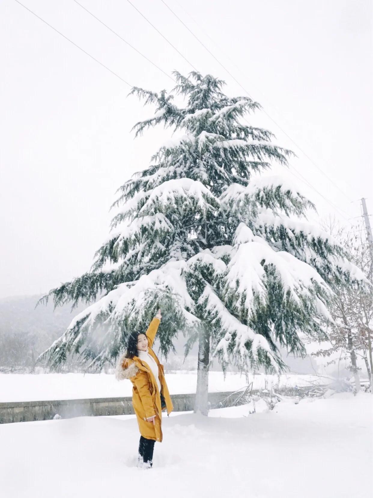 星语原创诗歌全集,星语作品全集